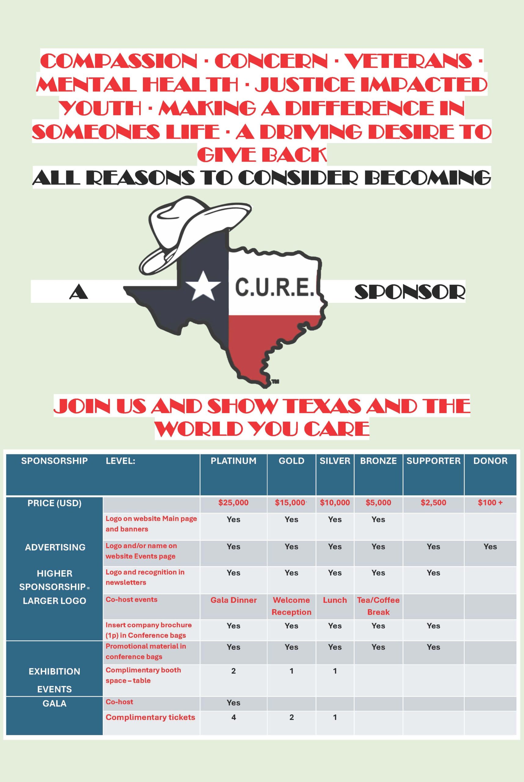 TX C.U.R.E. SPONSORSHIP LEVELS FLYER 11-24