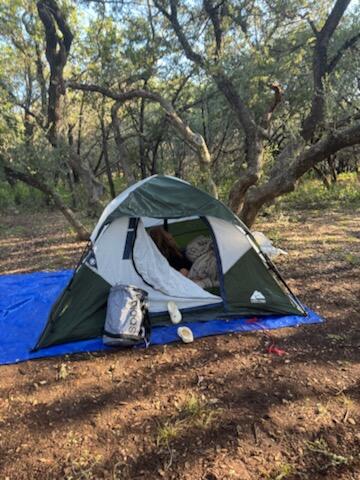 THE FRUITS OF MY LABOR