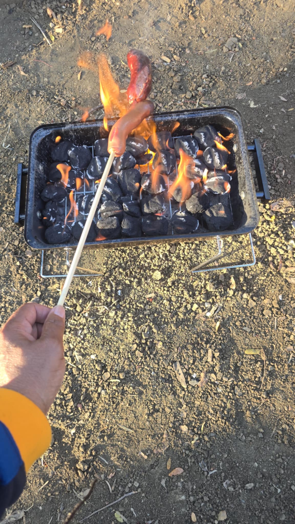 CANT GO CAMPING WITHOUT GRILLING DOGS