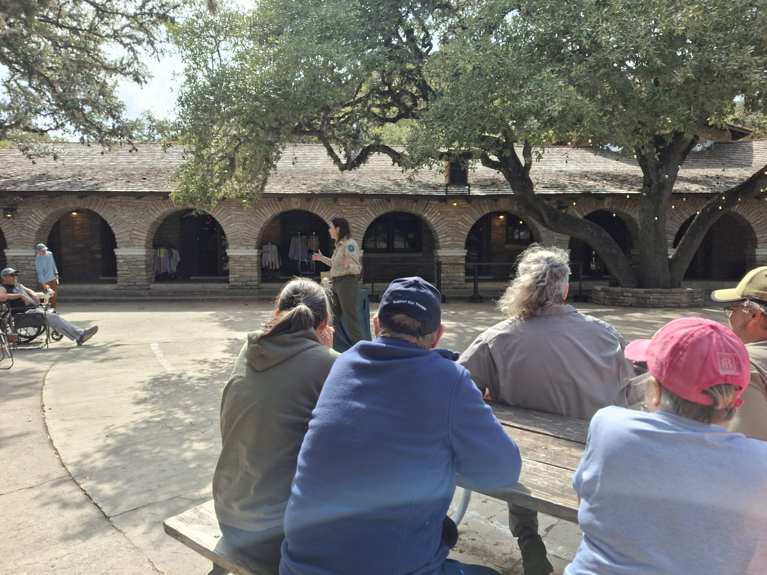 LEARNING ABOUT JAVILINA