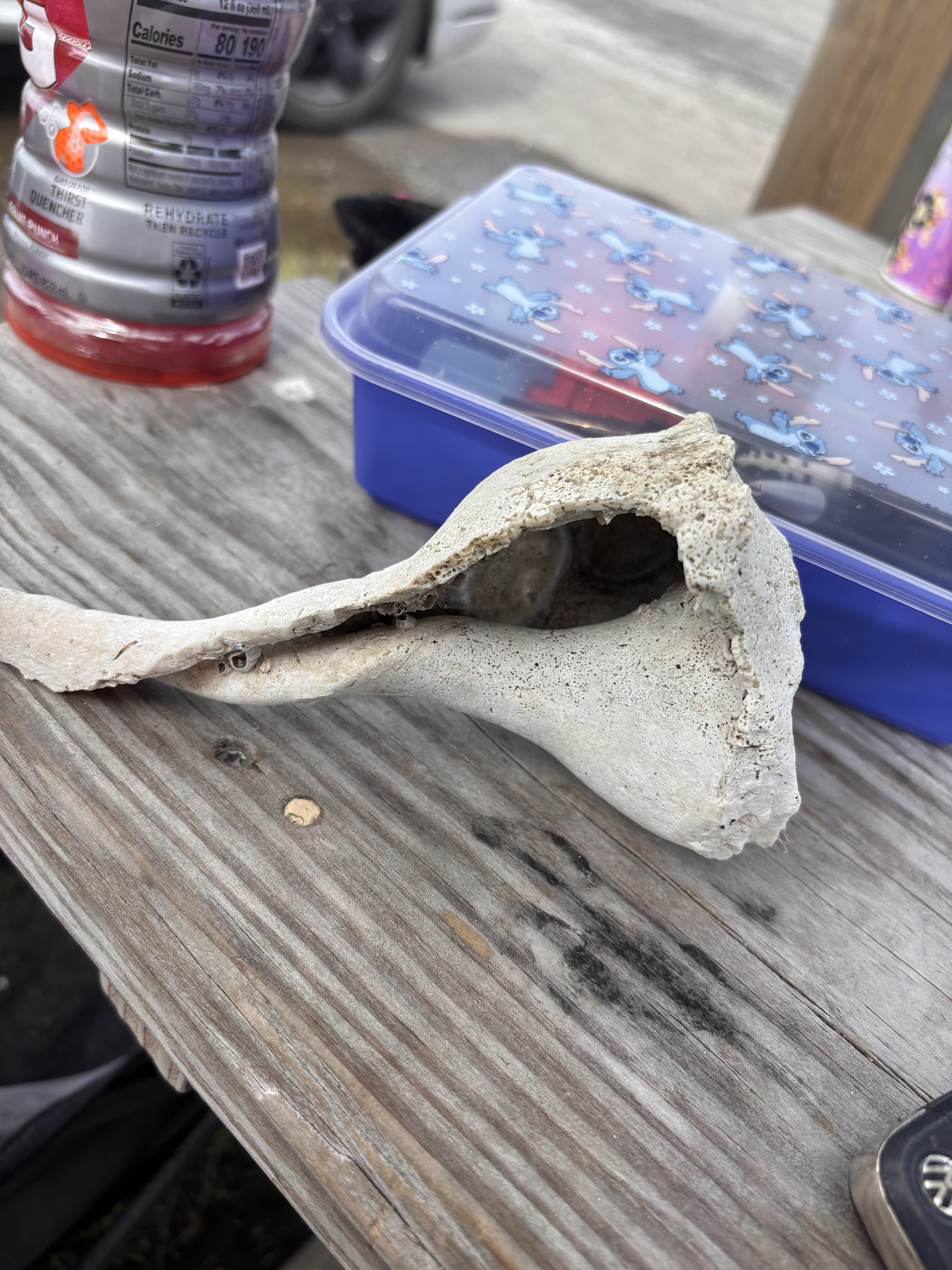 SHELL