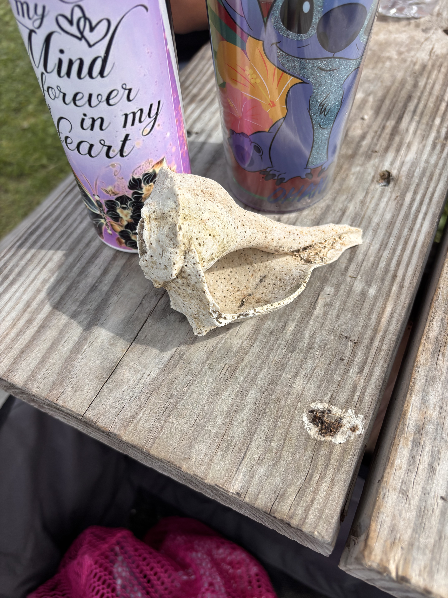 SHELLS