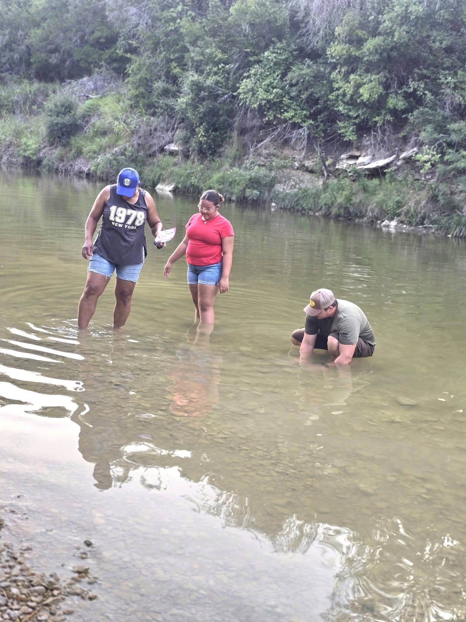 WADING