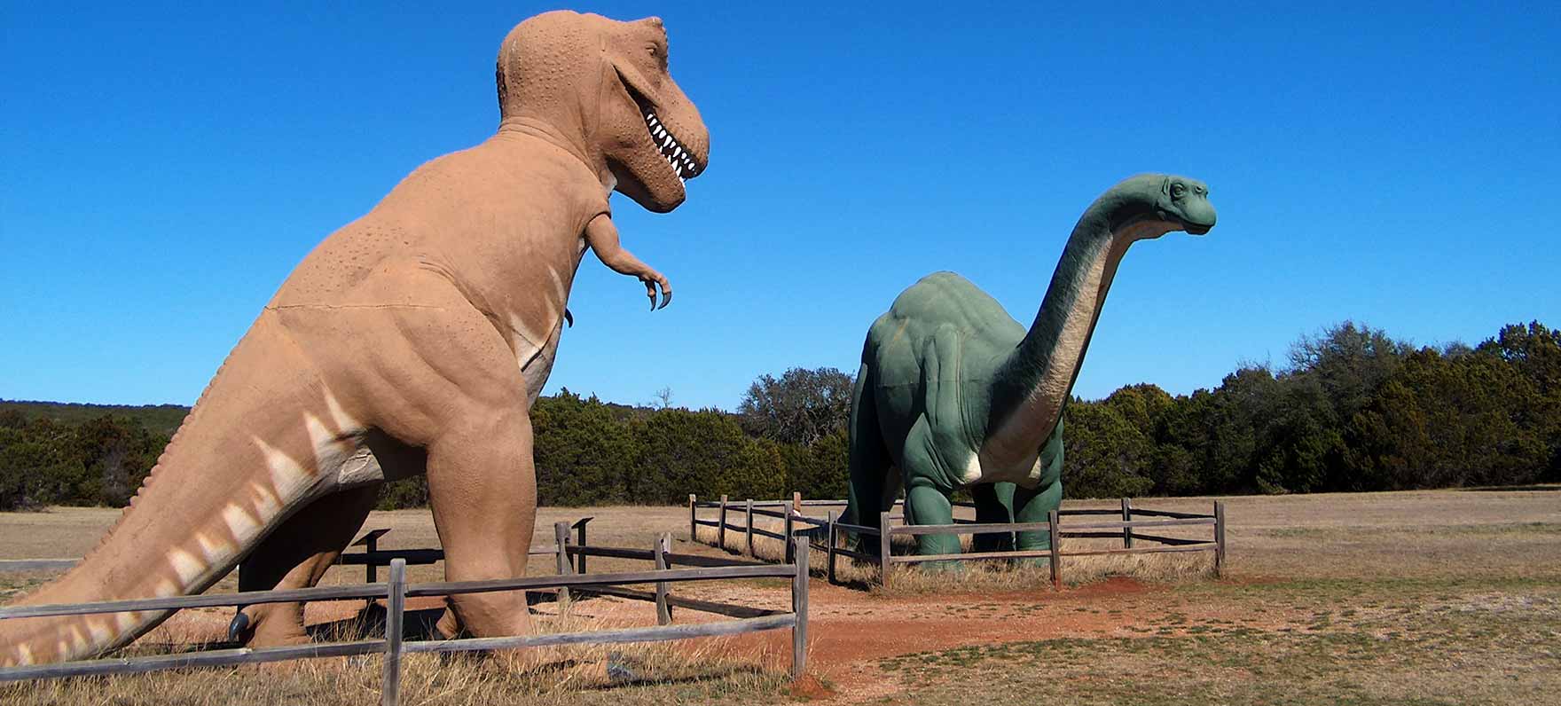 dino-exhibit